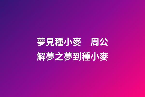夢見種小麥　周公解夢之夢到種小麥